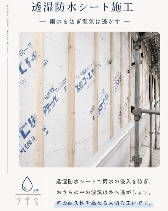 画像2690