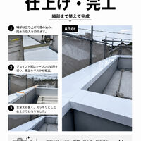 画像2777