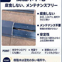 画像2782