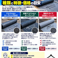 画像2831