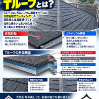 画像2844